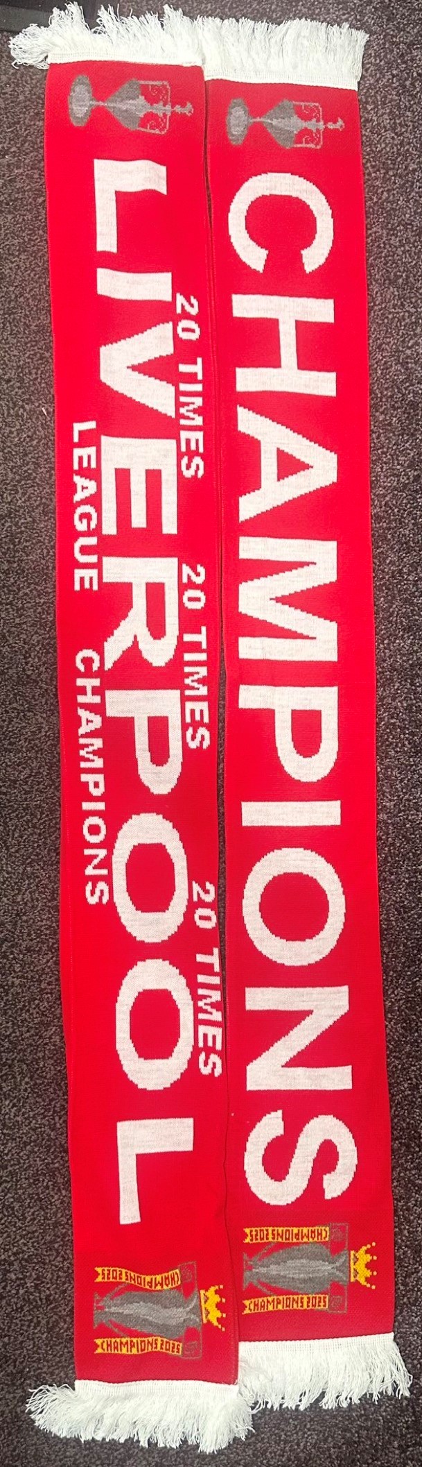 CHAMPIONS Scarf!